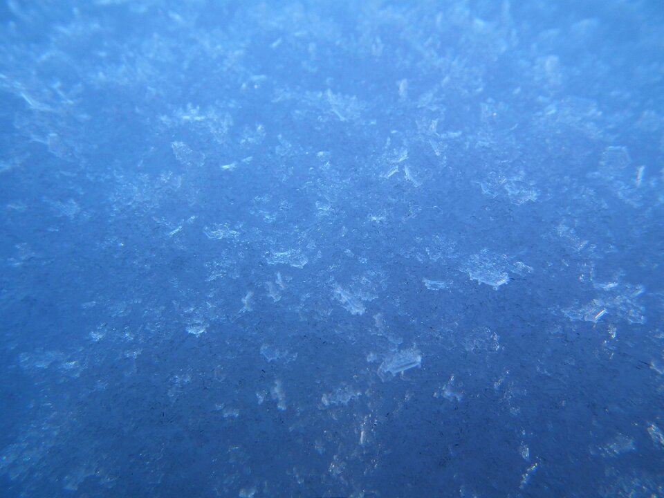 Snowflakes snowfall white