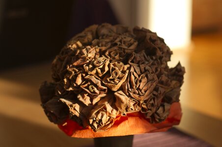 Brown arrangement rose