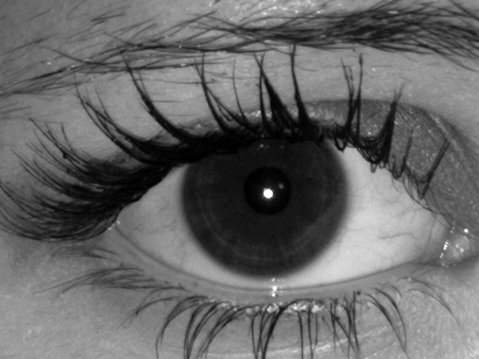 Eye sight black and white