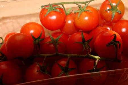 Red vegan vegetarian