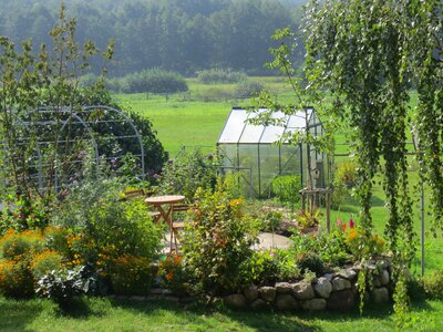 Garden greenhouse allotment photo
