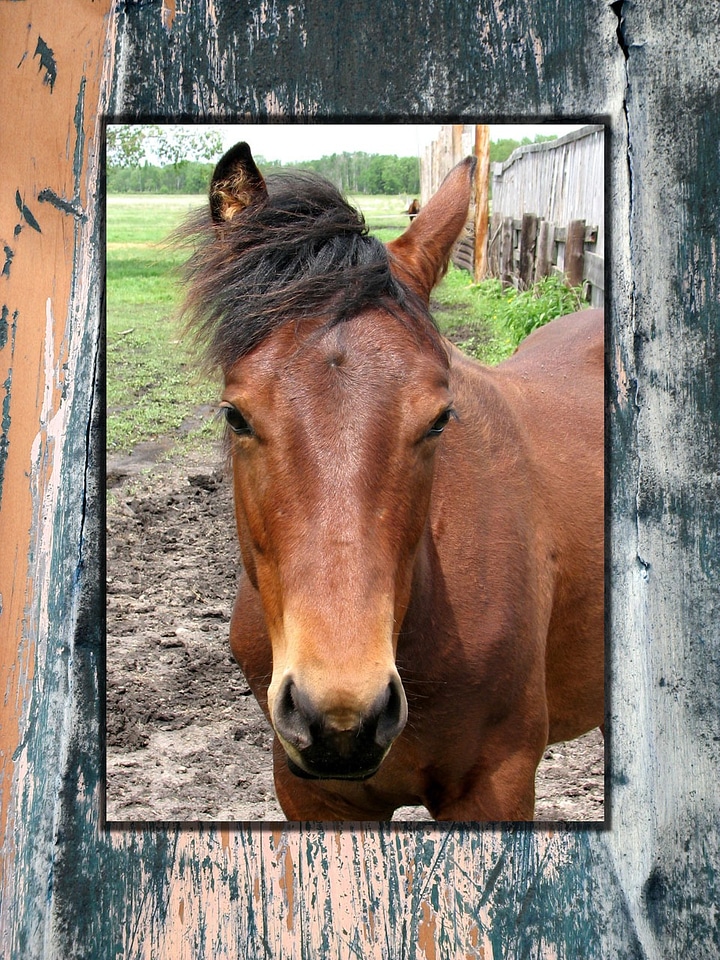 Country rural frame