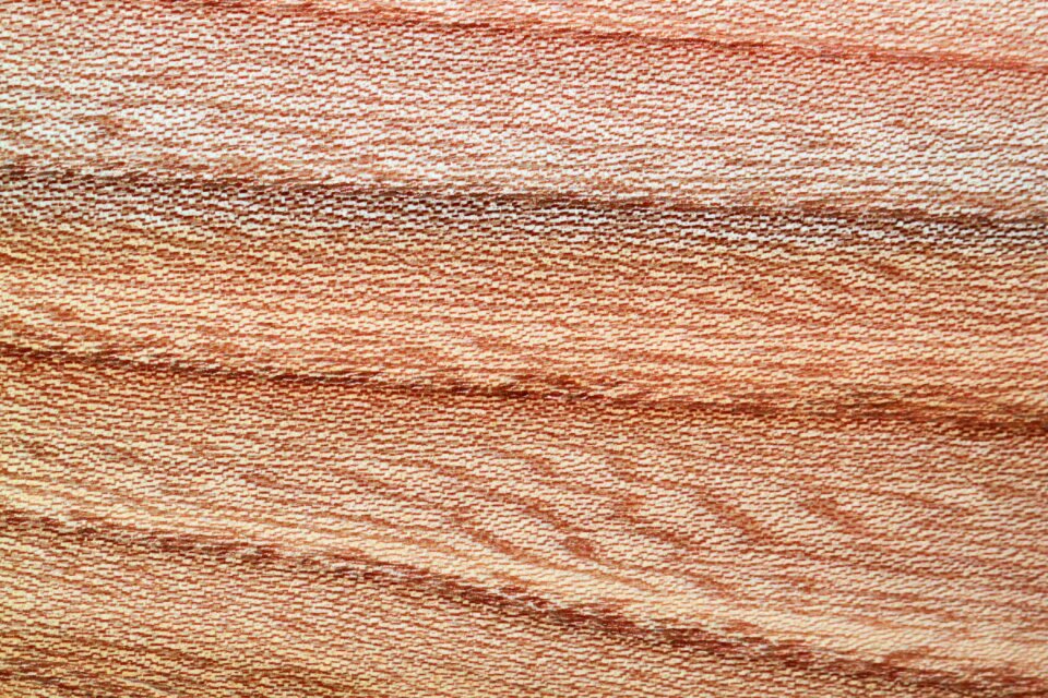 Grain structure annual rings