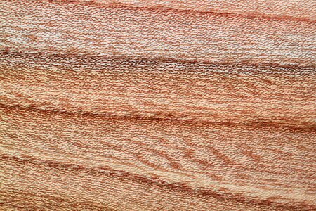 Grain structure annual rings