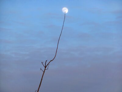 Blue hour evening sky