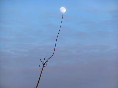 Blue hour evening sky photo