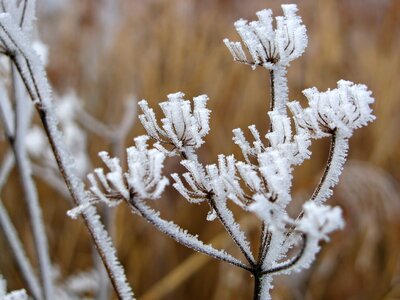 Wintry ice icy