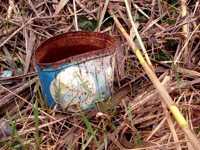 Nature box rusty