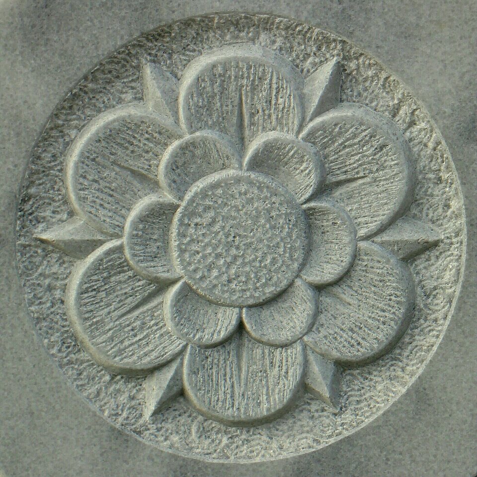 Symbol blossom bloom