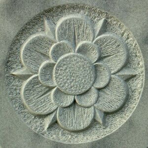 Symbol blossom bloom