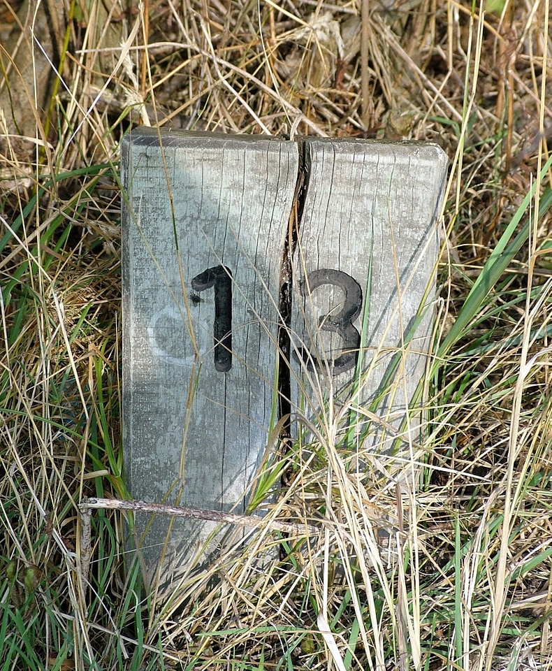 Natural engraved sign