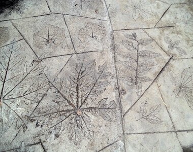 Leaves flooring structure
