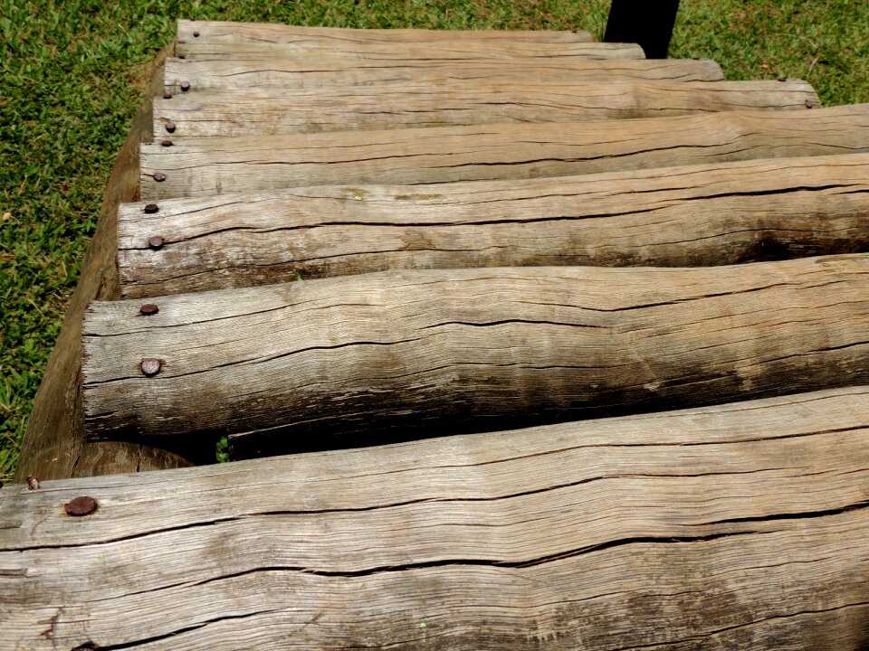 Trunks stairs of trunks trunk