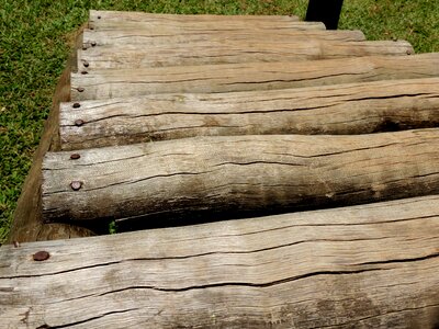 Trunks stairs of trunks trunk