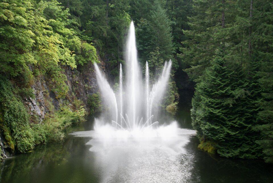 Butchart gardens gardens fountain