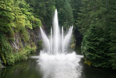 Butchart gardens gardens fountain