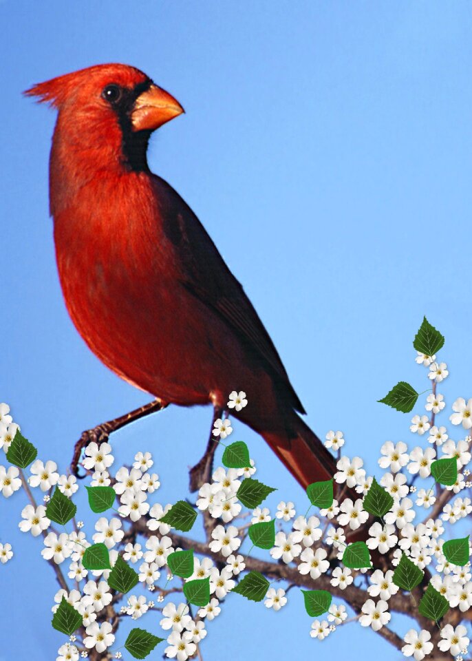 Art artwork nature