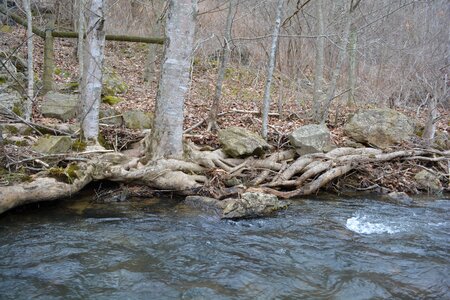 Bank water creek photo