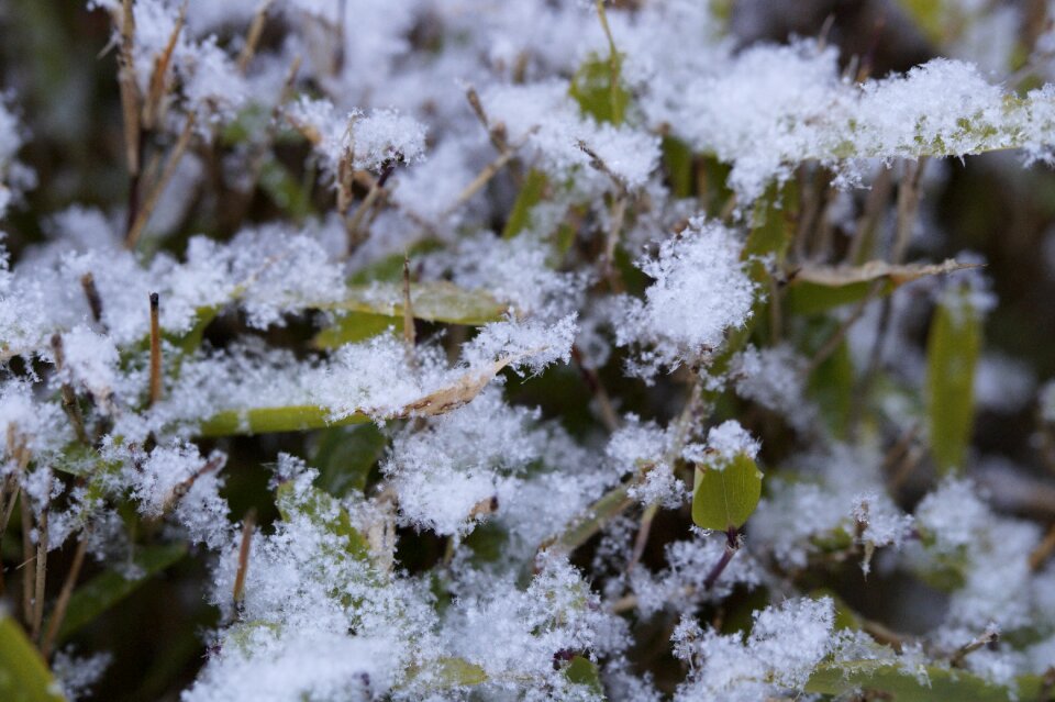 Flake snowflakes artificial snow
