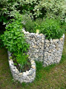 Aromatic herbs summer nature