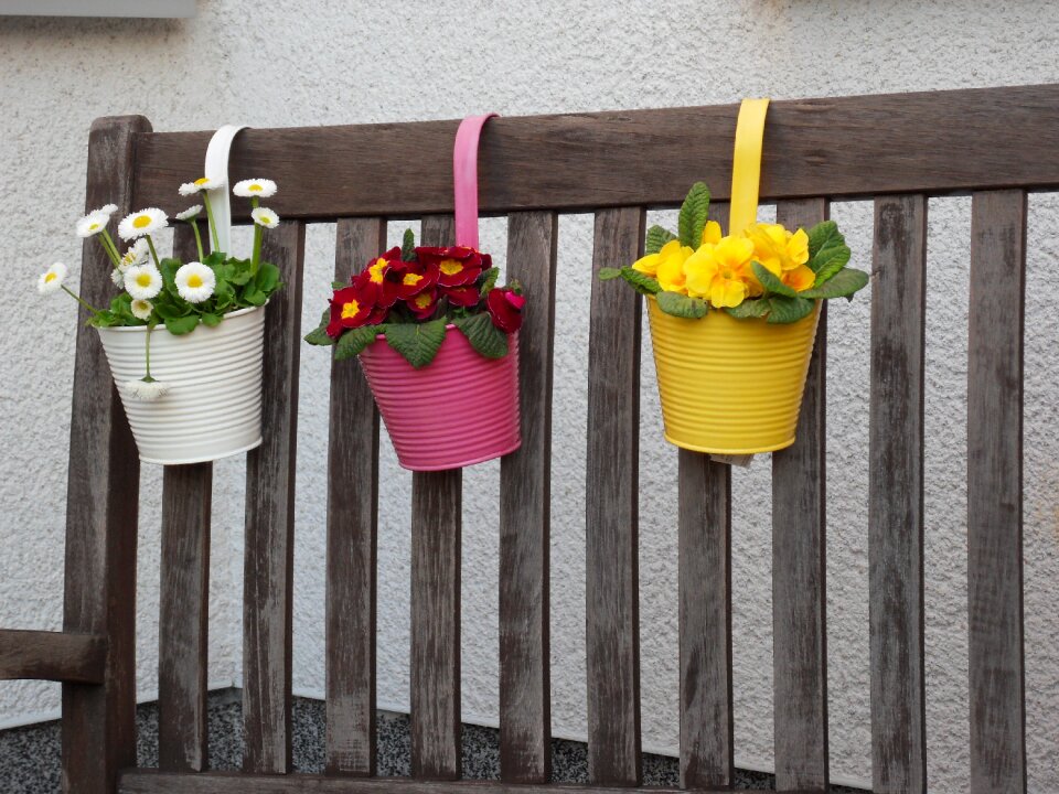 Flower pot flowers decoration