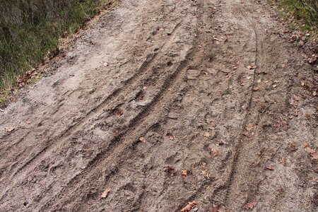 Bike tracks footprints reprint photo