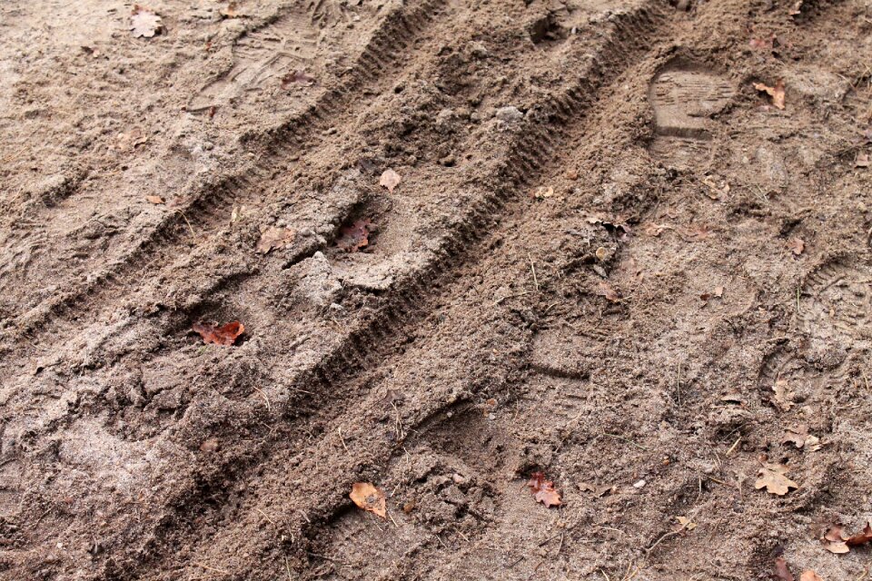 Bike tracks footprints reprint