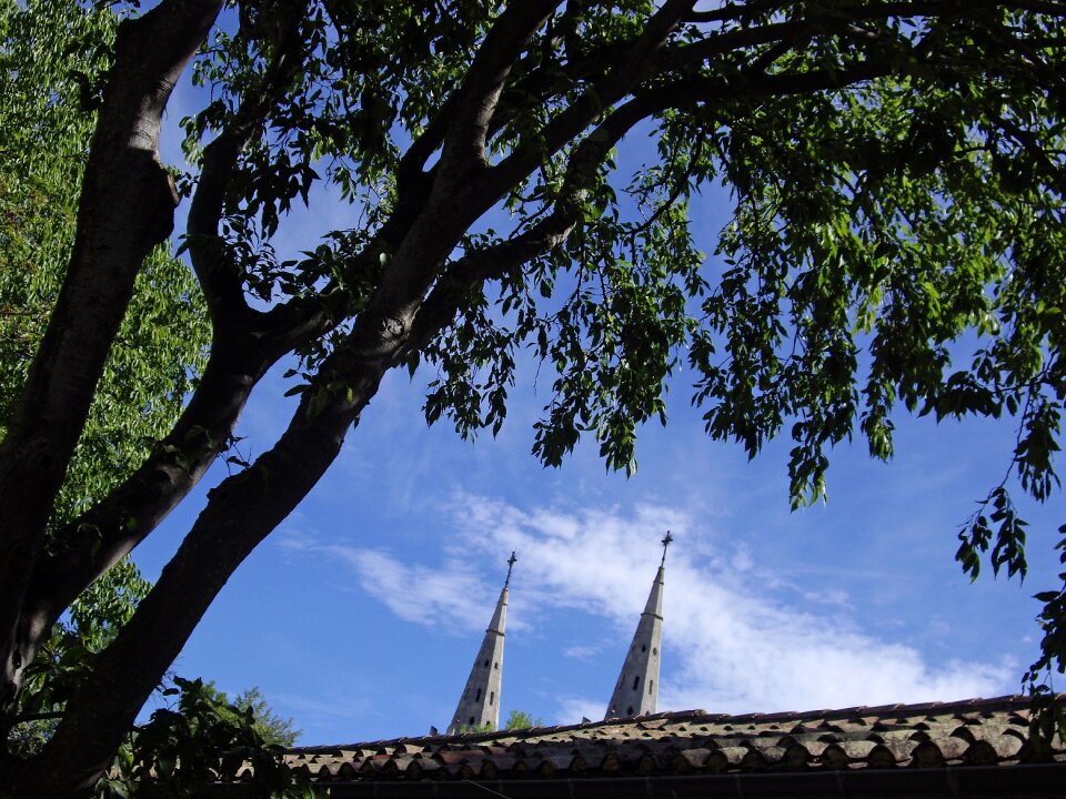 Roof roofing landscape