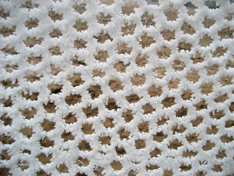 Fence wire mesh fence garden fence