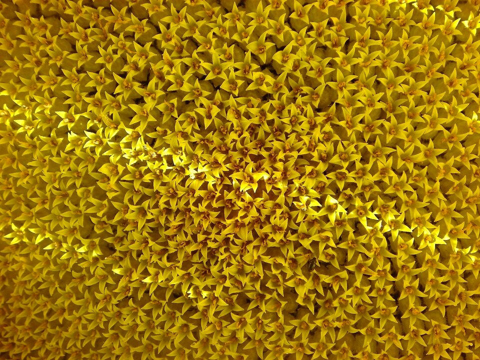 Yellow detail tickets