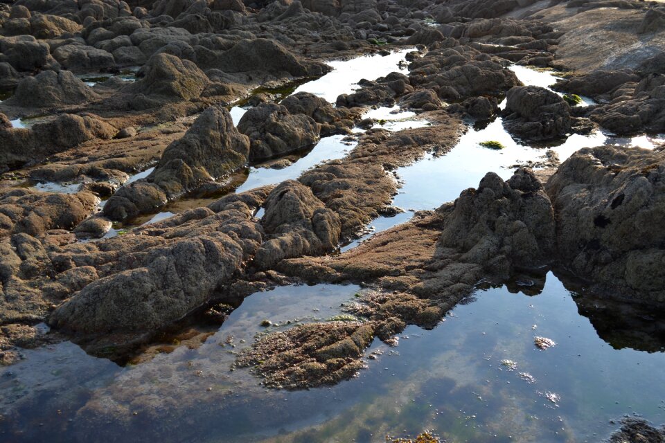 Water nature seaside