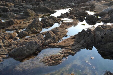 Water nature seaside