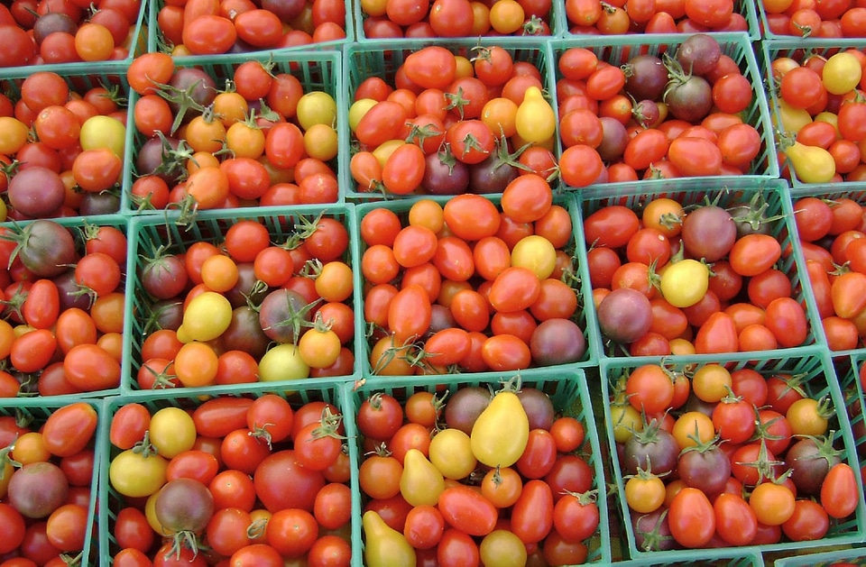 Vegetable groceries store