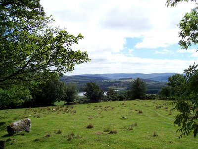 Ireland nature pasture