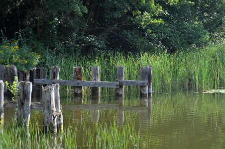 Lake nature idyllic photo