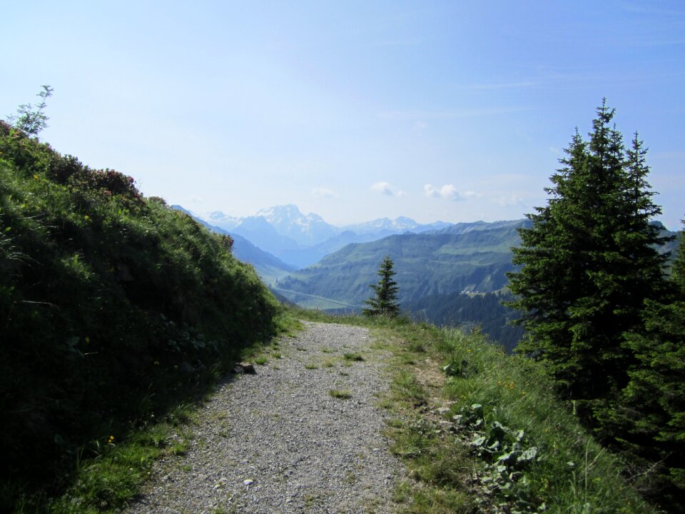 Lane mountains high