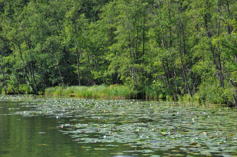 Nature landscape water