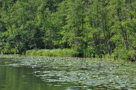 Nature landscape water