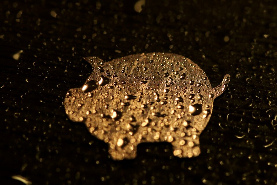Lucky pig lucky charm water
