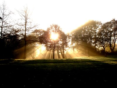 Sun ray of light landscape