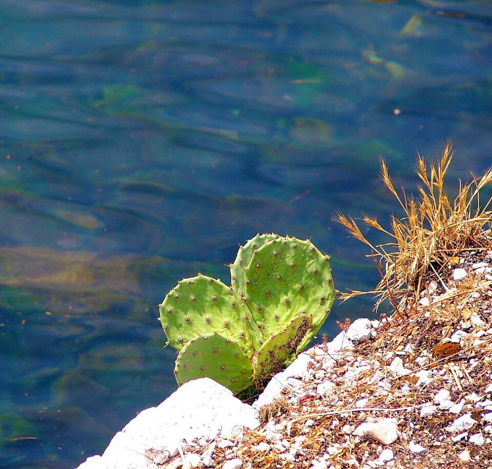 Sea water