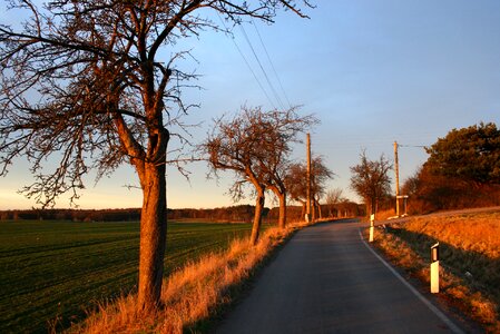 Landscape trees away photo