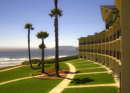 Palm park like setting landscape