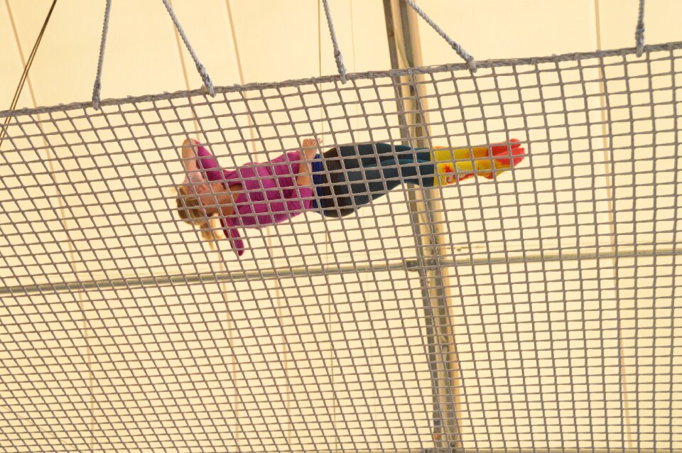 Trapeze free fall spin