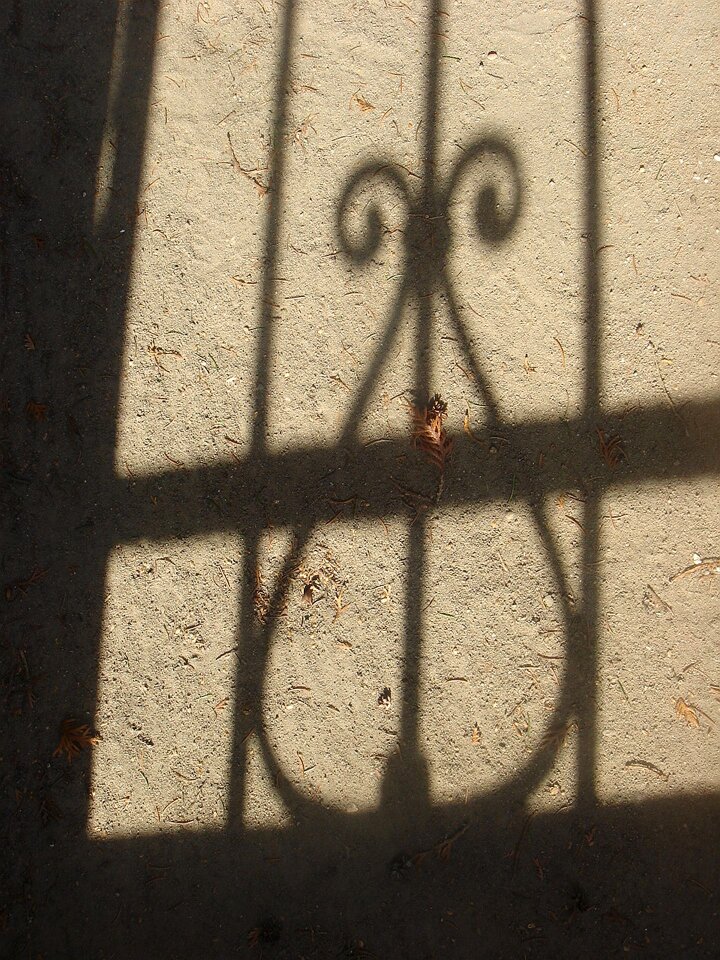 Shadow light silhouette photo