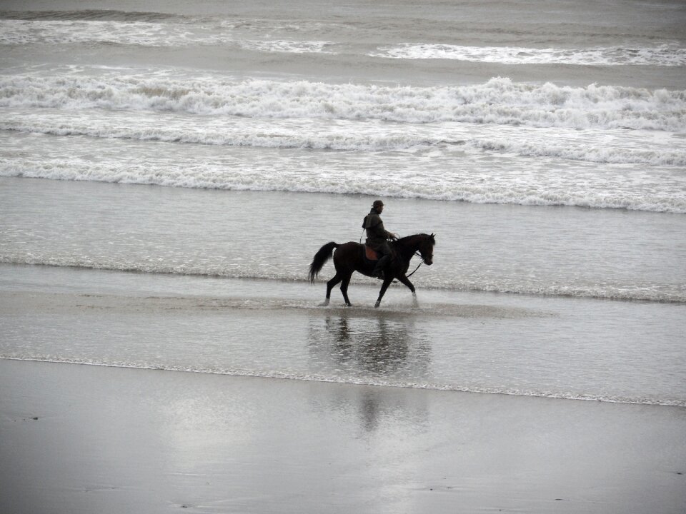 Horseback riding beach ocean