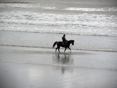 Horseback riding beach ocean photo