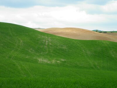 Tuscany valdorcia hills photo