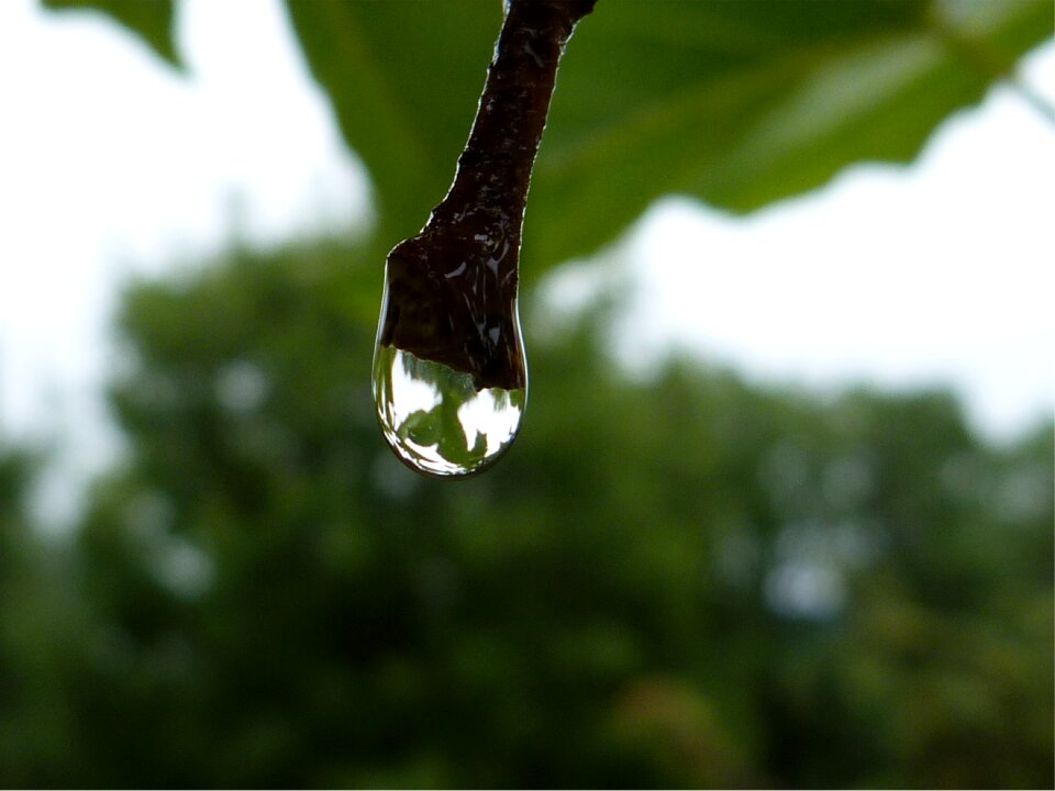 Dew drop water transparency