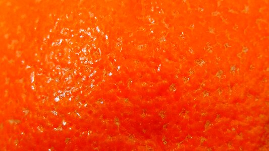 Fruity fruit surface